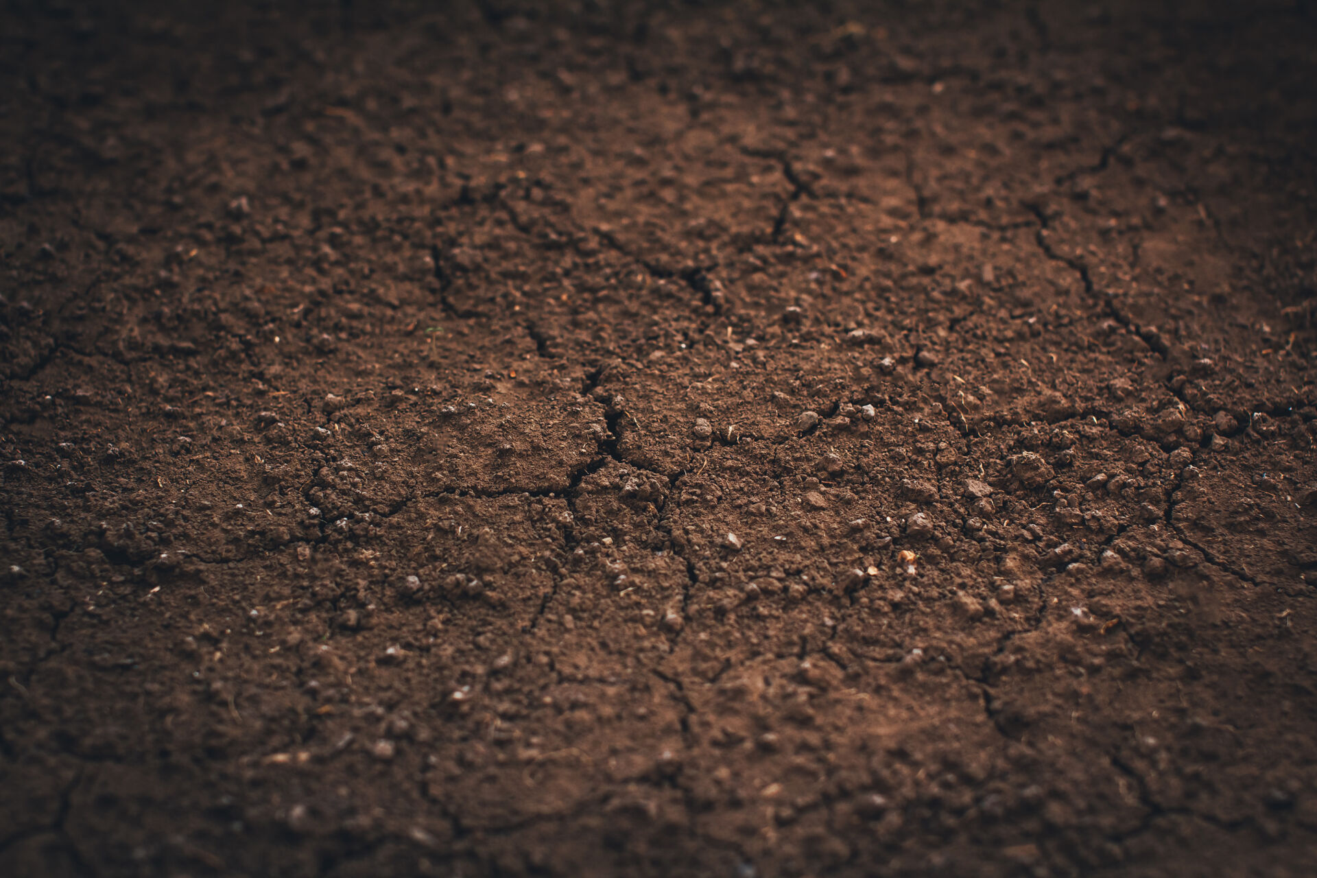 In-situ ground testing with dark soil texture closeup of dry soil background