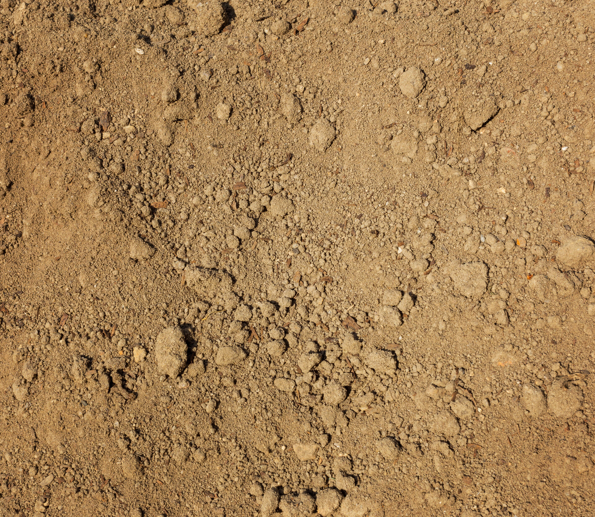 On-site soil and ground testing on dry agricultural brown soil
