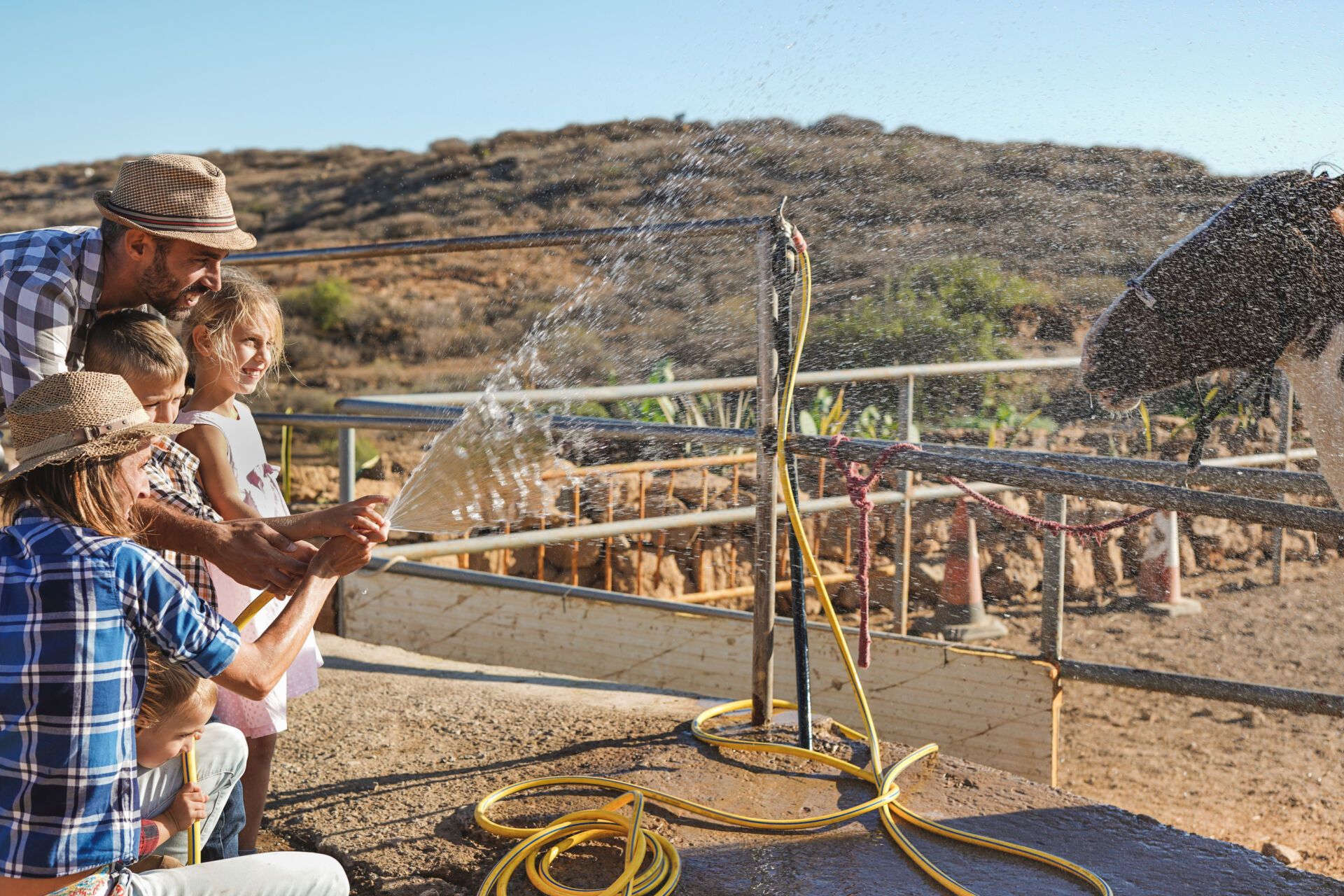 Happy family enjoy day outdoor at ranch washing horses - Human and animal love